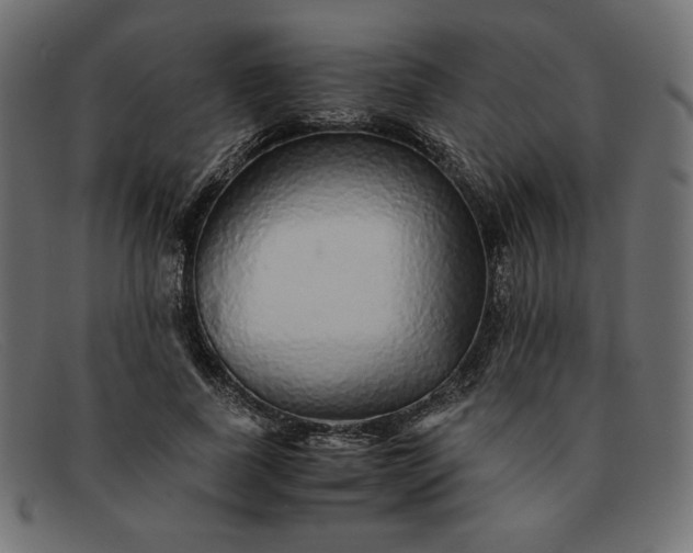 X0000091860739200709191116