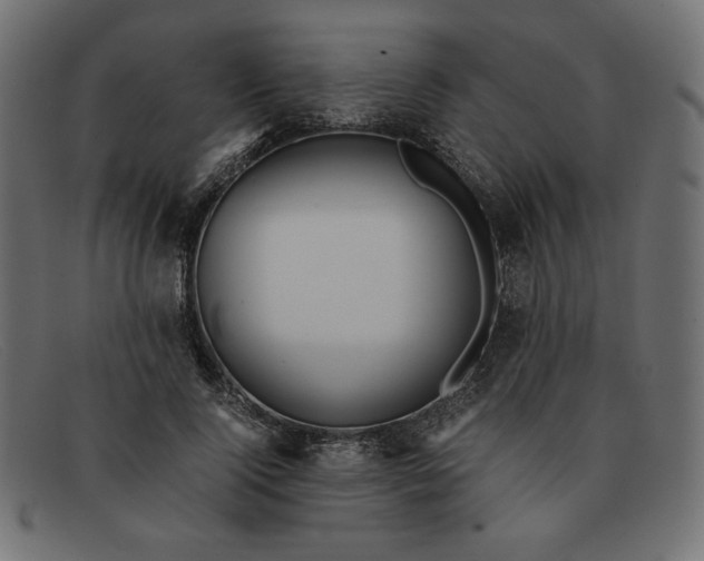 X0000091860740200709191116