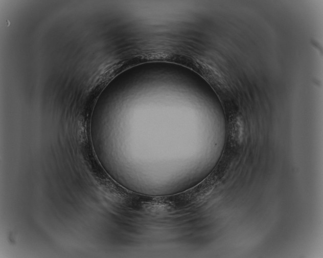 X0000091860743200709191116