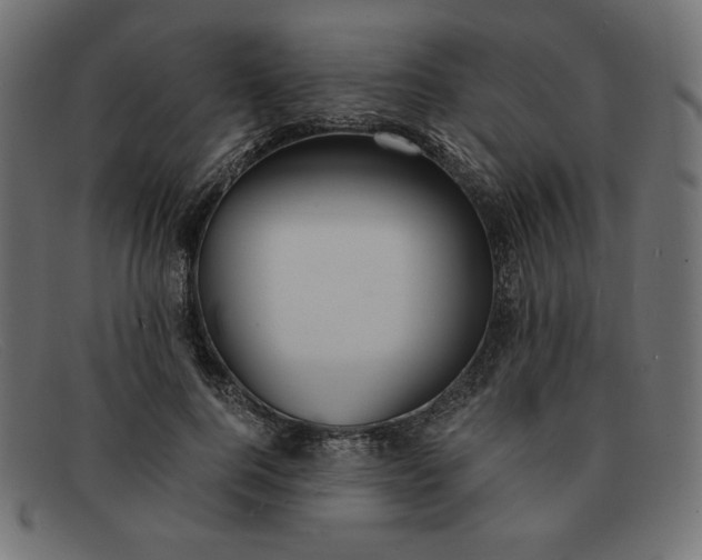 X0000091860744200709191116