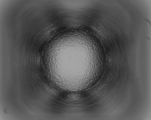 X0000091860745200709191116