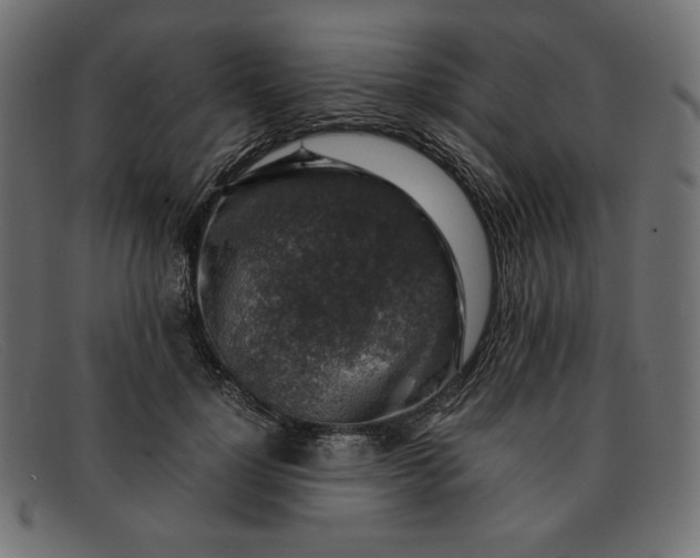 X0000091860748200709191116