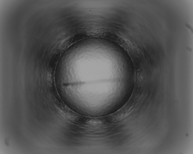 X0000091860749200709191116