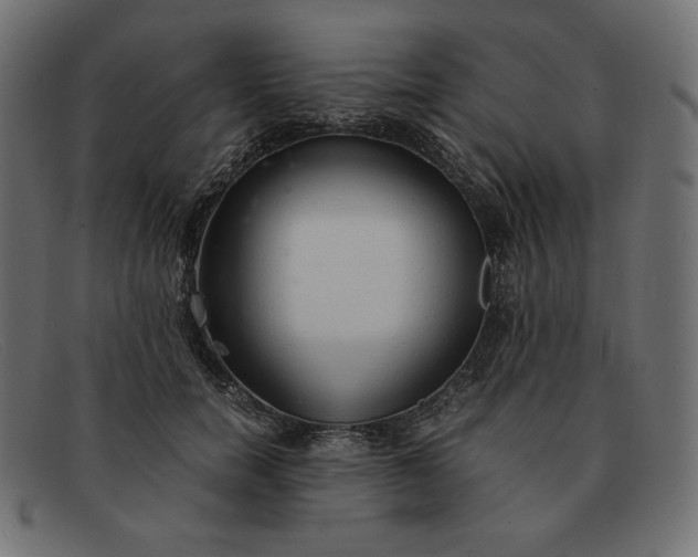 X0000091860750200709191116