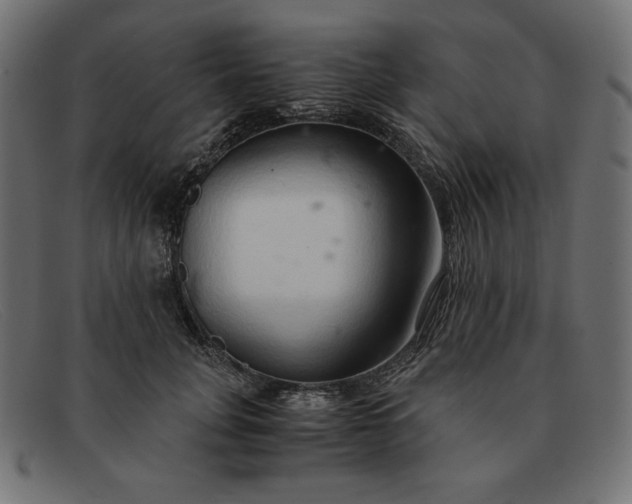 X0000091860751200709191116