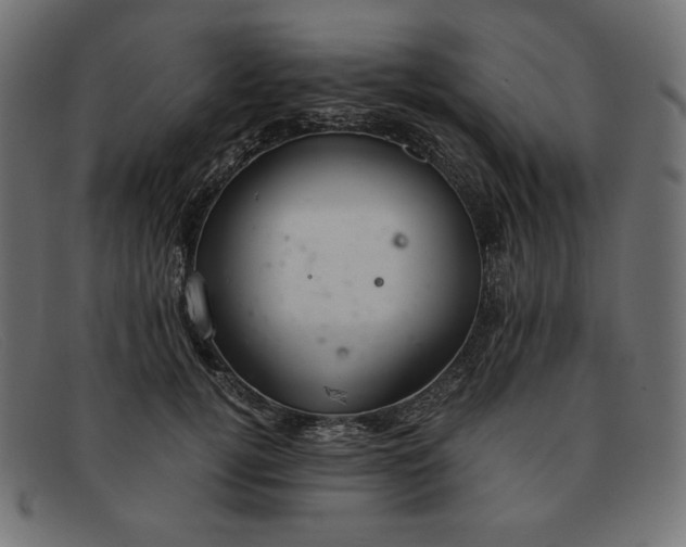 X0000091860752200709191116