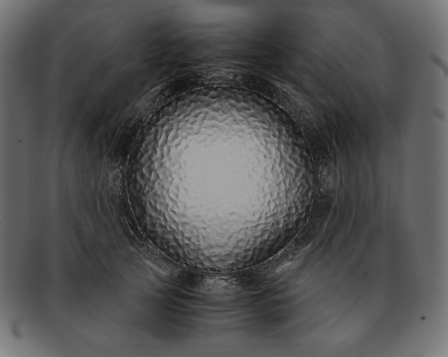 X0000091860753200709191116