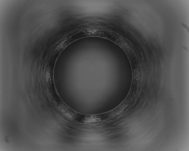 X0000091860754200709191116