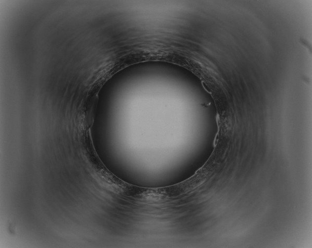 X0000091860756200709191116