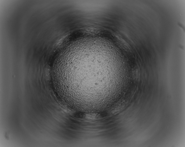 X0000091860757200709191116