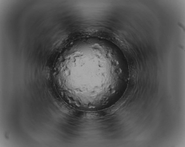 X0000091860758200709191116