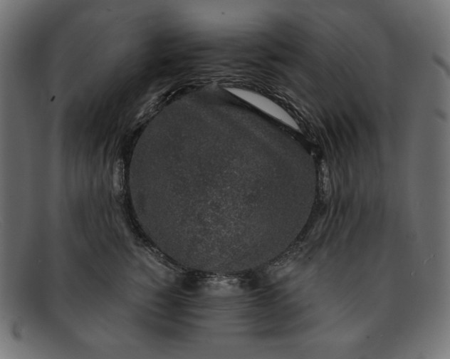 X0000091860760200709191116