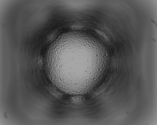 X0000091860761200709191116