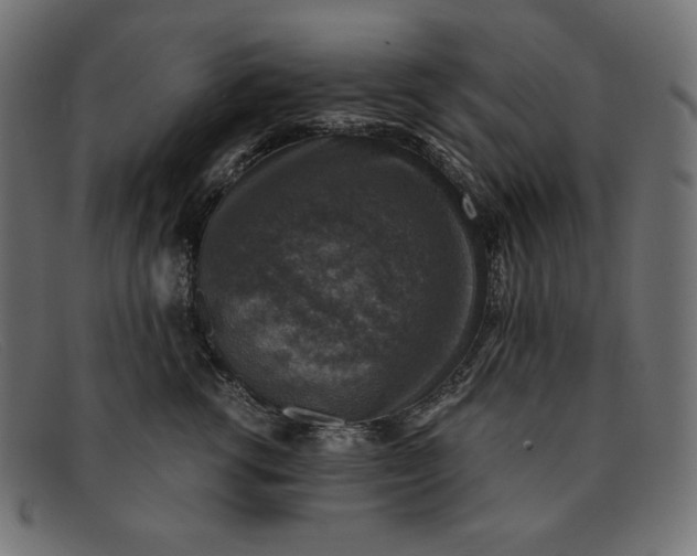 X0000091860762200709191116