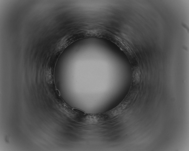 X0000091860764200709191116