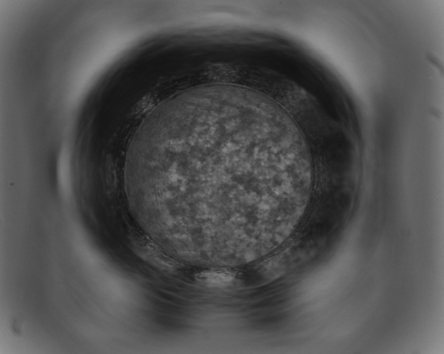 X0000091860765200709191116