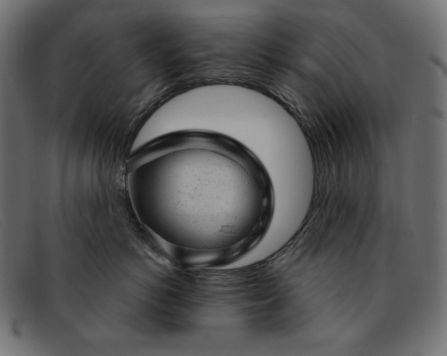 X0000091860766200709191116