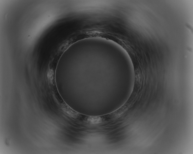 X0000091860767200709191116