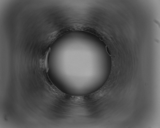 X0000091860768200709191116