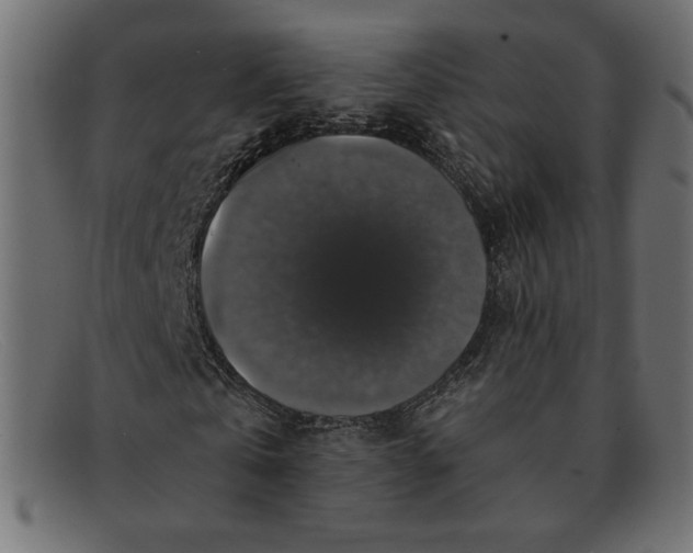 X0000091860769200709191115