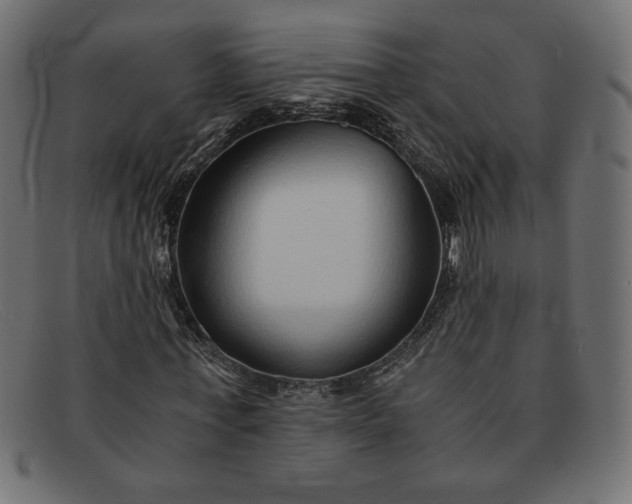 X0000091860771200709191115