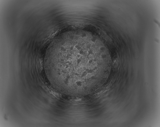 X0000091860772200709191115