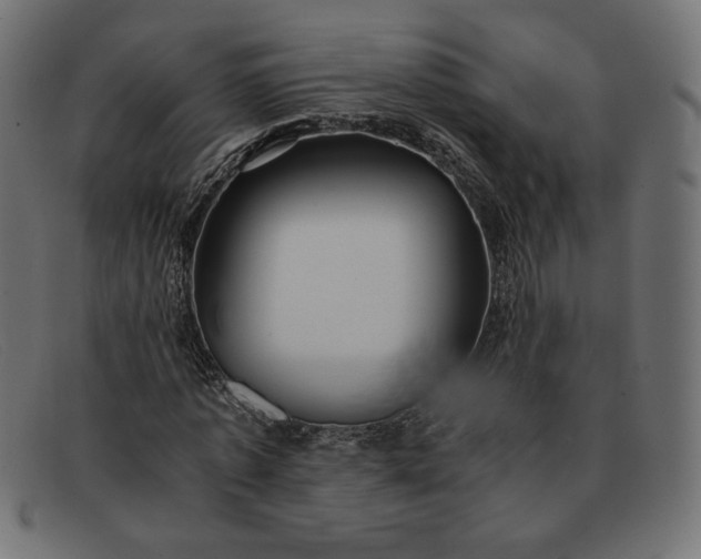 X0000091860773200709191115