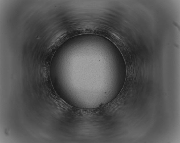 X0000091860774200709191115