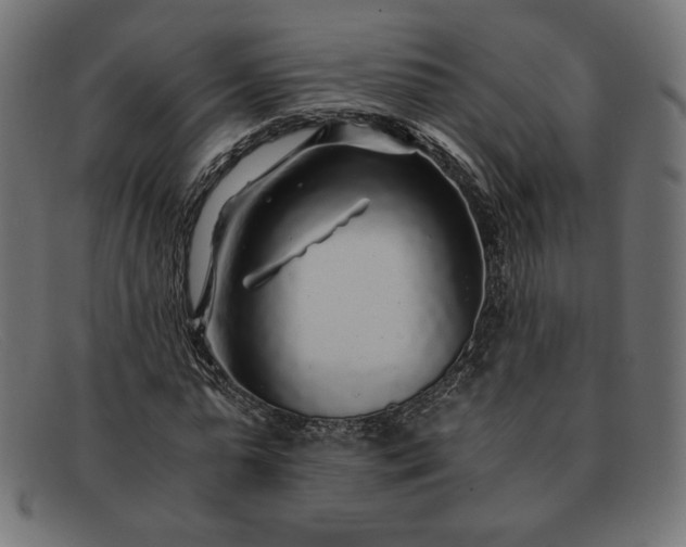 X0000091860775200709191115