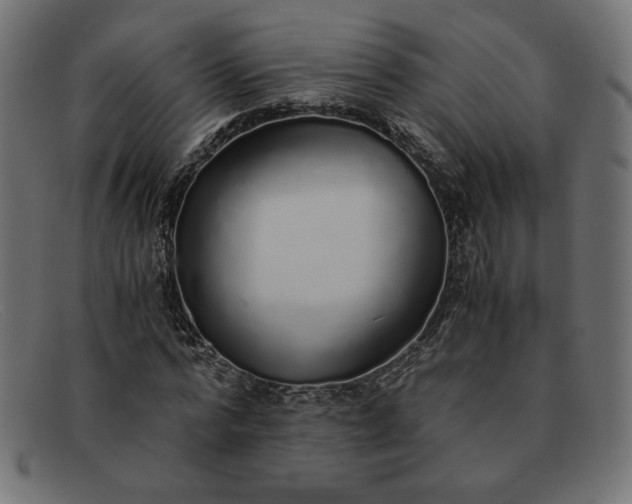 X0000091860776200709191115