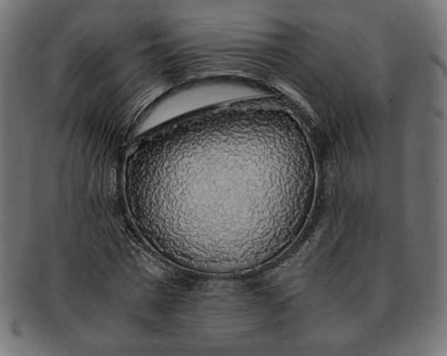 X0000091860777200709191115