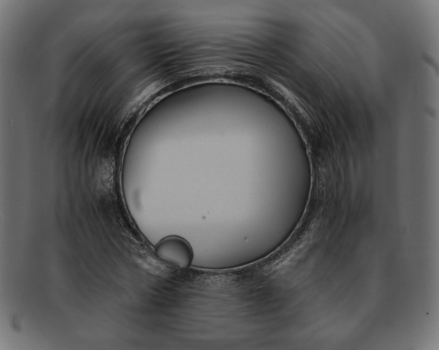 X0000091860778200709191115