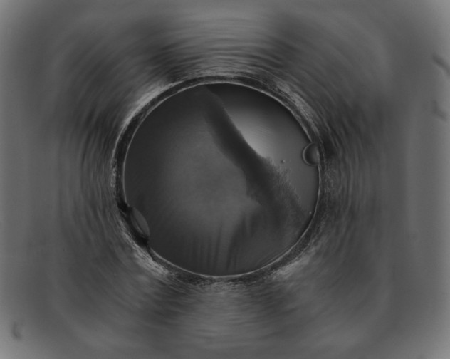 X0000091860779200709191115