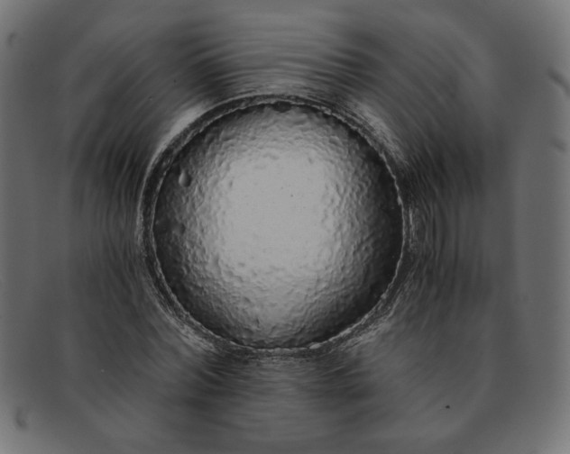 X0000091860780200709191115