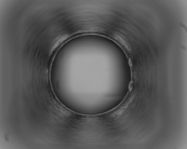 X0000091860781200709191115