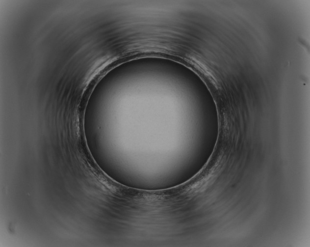 X0000091860782200709191115