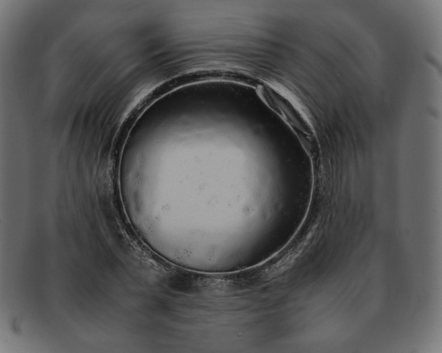 X0000091860783200709191115