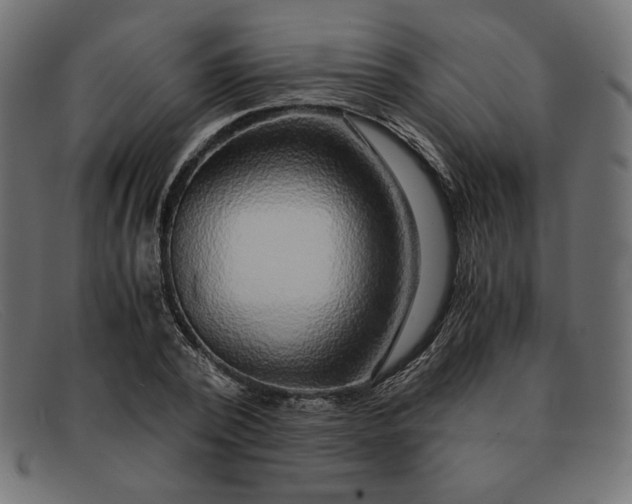 X0000091860784200709191115