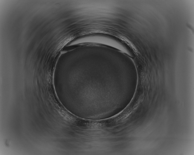 X0000091860785200709191115