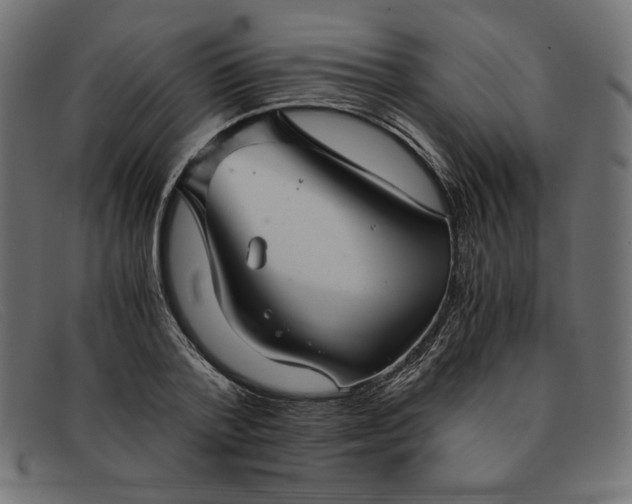 X0000091860788200709191115