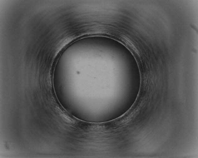 X0000091860789200709191115