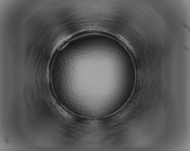 X0000091860791200709191115