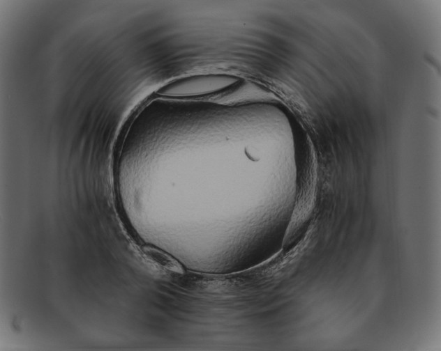 X0000091860792200709191115