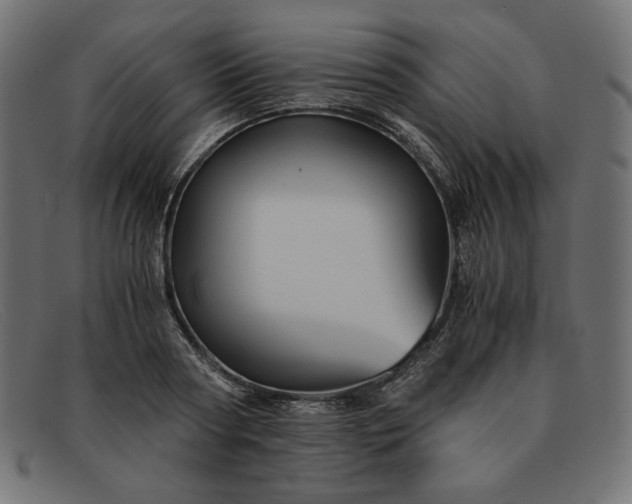 X0000091860794200709191115