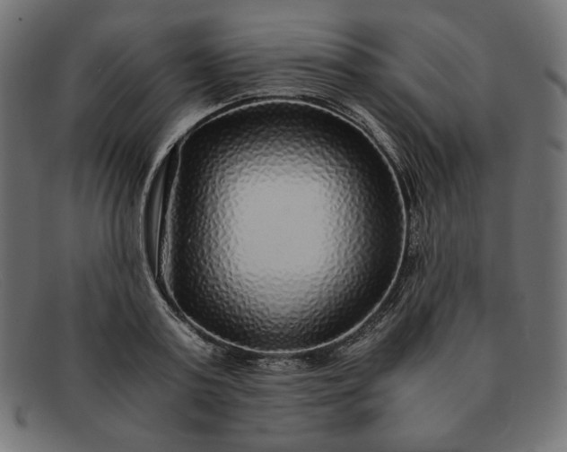 X0000091860795200709191115