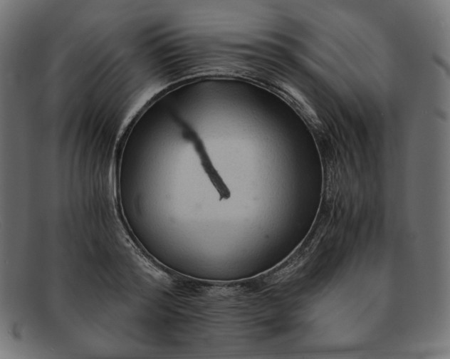 X0000091860796200709191115