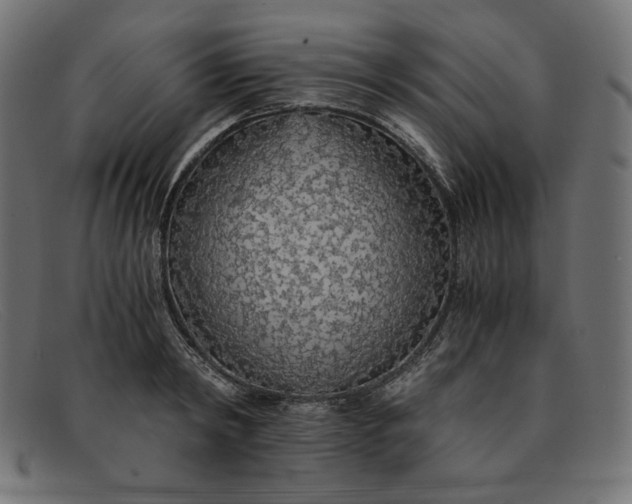 X0000091860798200709191115