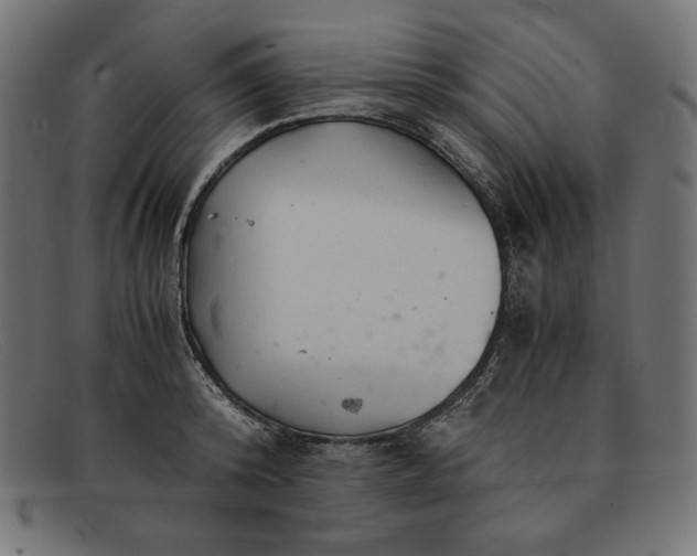 X0000091860800200709191115