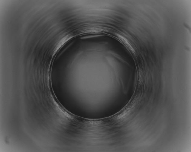 X0000091860802200709191115