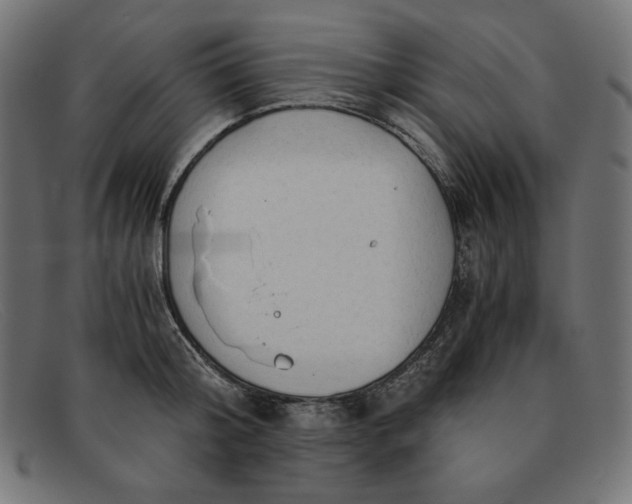 X0000091860804200709191115